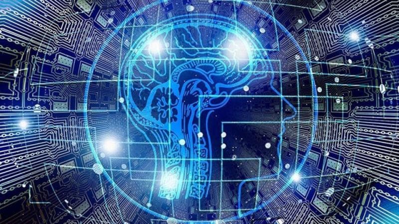 Joint Turkey-China Projects in AI for Medical and Sustainable Agricultural Innovation